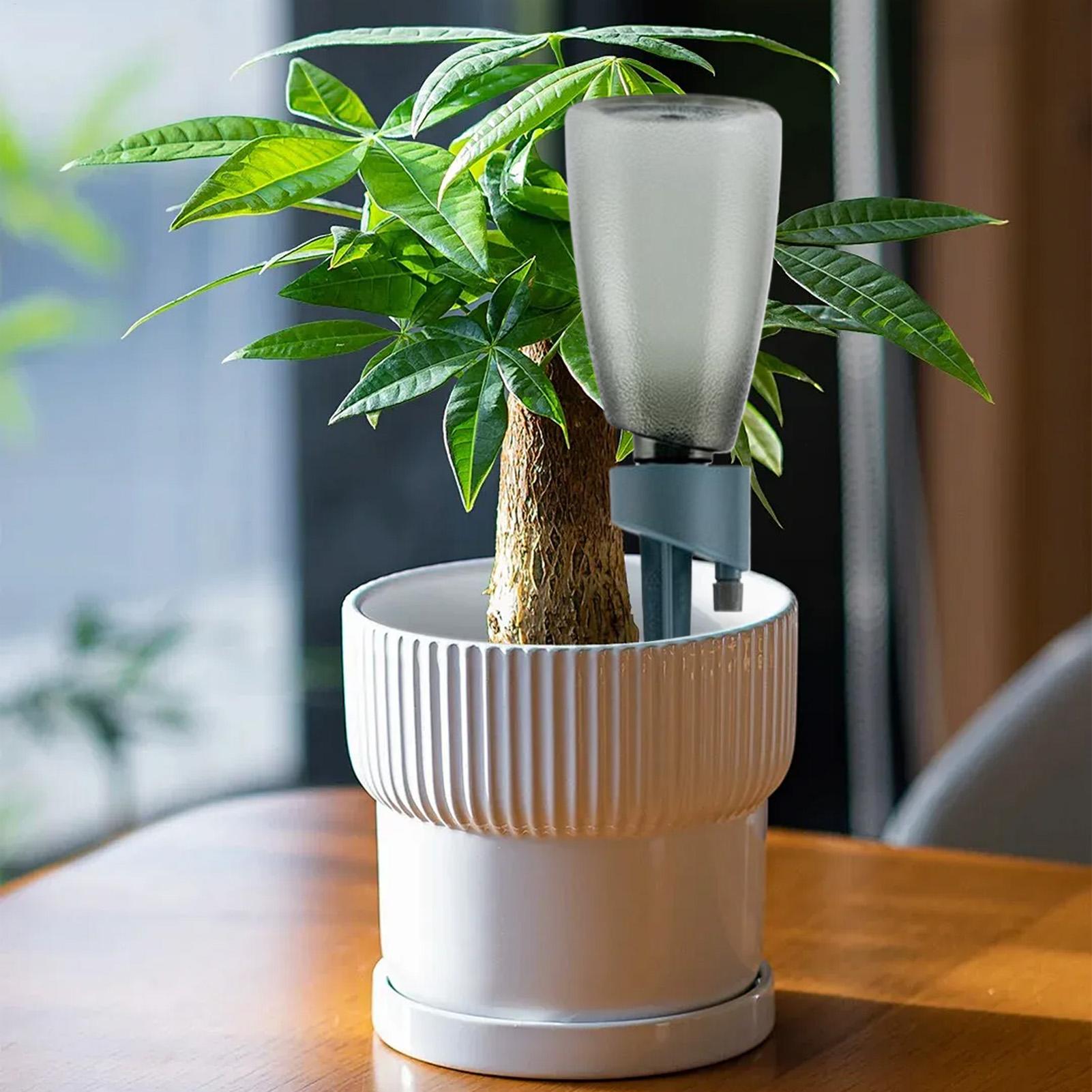 ชุดรดน้ำอัตโนมัติ 6 ชิ้น สำหรั - Self Watering Insert บทวิจารณ์และราคา