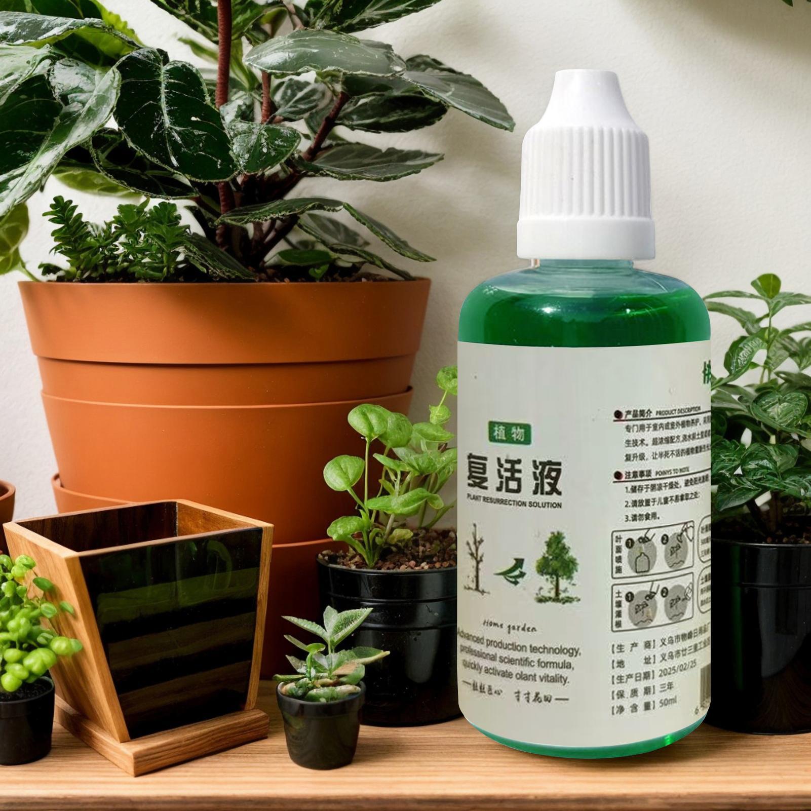 สารกระตุ้นรากสำหรับพืช ปุ๋ยบำร - Root Stimulator Liquid บทวิจารณ์และราคา