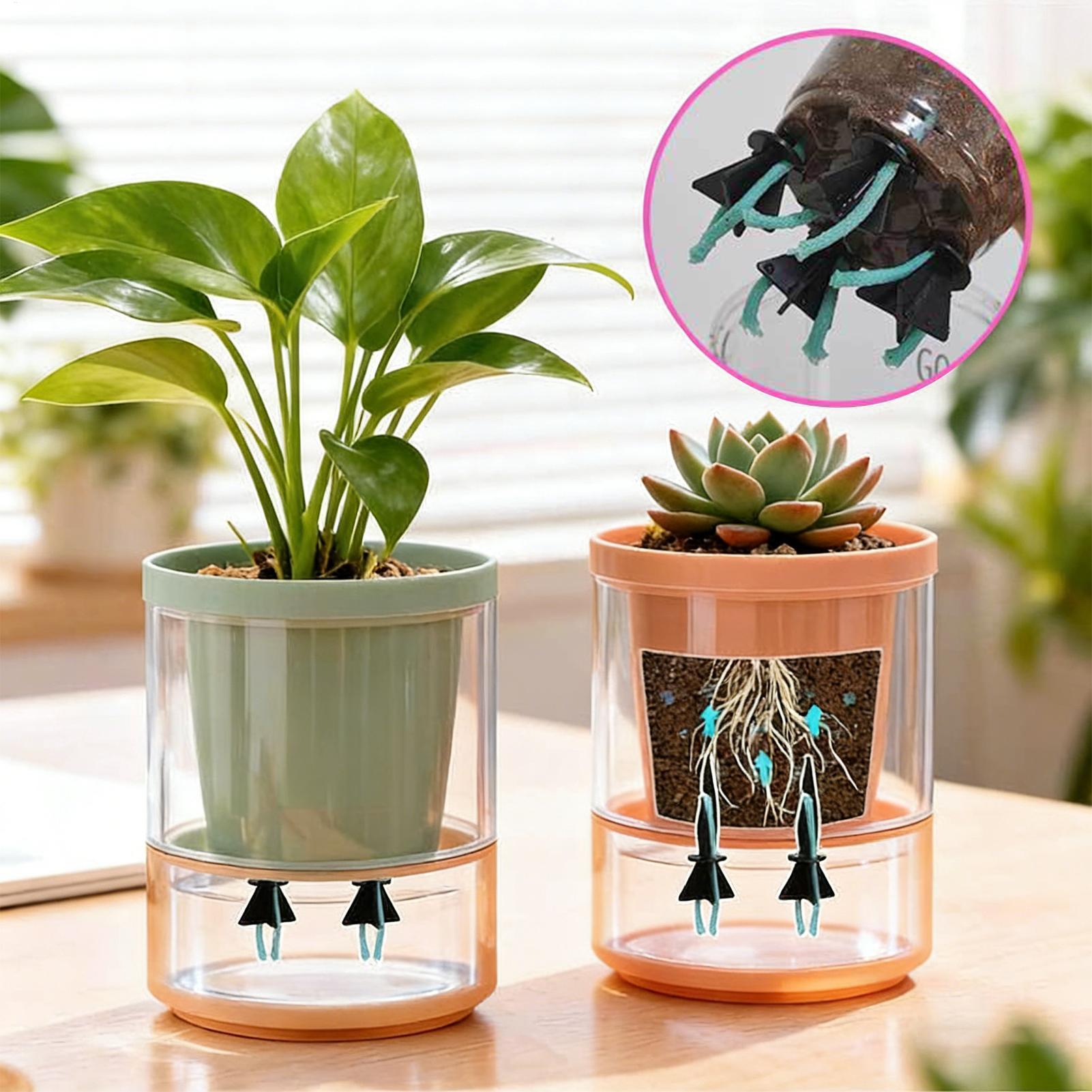 อุปกรณ์รดน้ำต้นไม้แบบอัตโนมัติ - Self Watering Insert บทวิจารณ์และราคา
