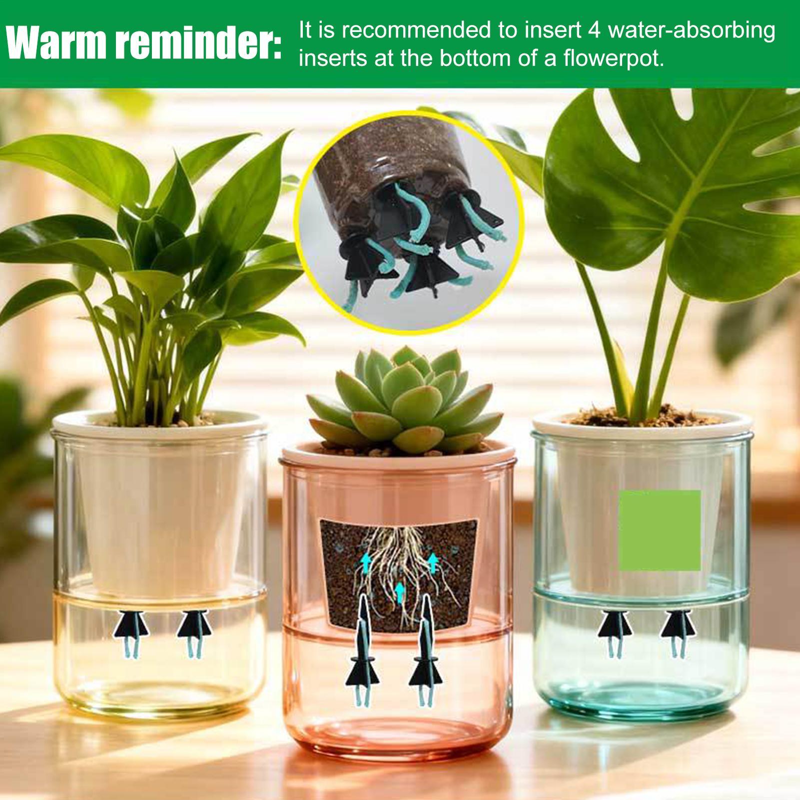 อุปกรณ์รดน้ำต้นไม้แบบอัตโนมัติ - Self Watering Insert บทวิจารณ์และราคา