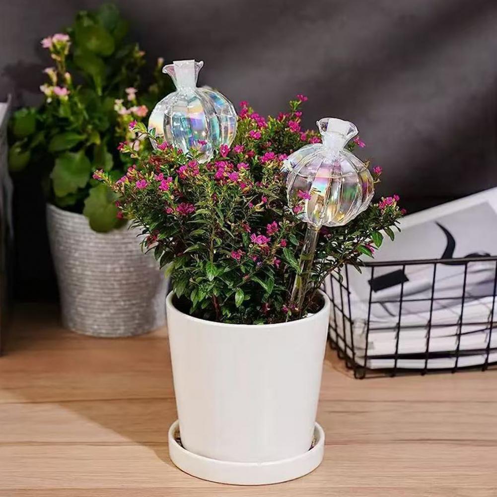หลอดรดน้ำต้นกระบองเพชรแบบอัตโน - Self Watering Insert บทวิจารณ์และราคา