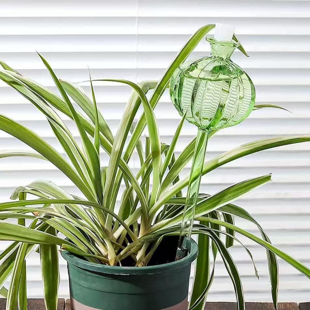 หลอดรดน้ำต้นกระบองเพชรแบบอัตโน - Self Watering Insert บทวิจารณ์และราคา
