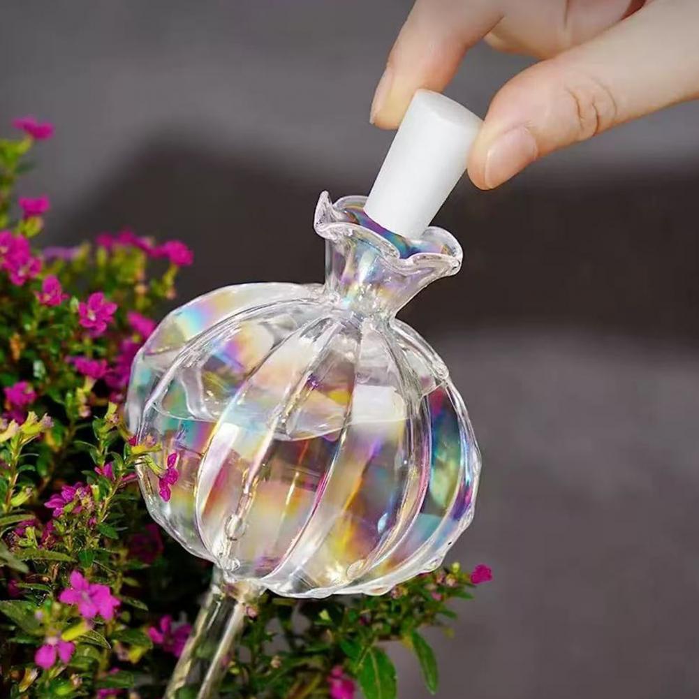 หลอดรดน้ำต้นกระบองเพชรแบบอัตโน - Self Watering Insert บทวิจารณ์และราคา