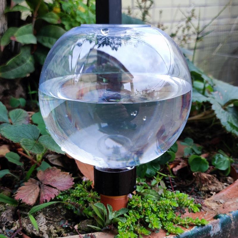 พืชรดน้ําหลอดไฟอัตโนมัติ 500ml - Self Watering Insert บทวิจารณ์และราคา