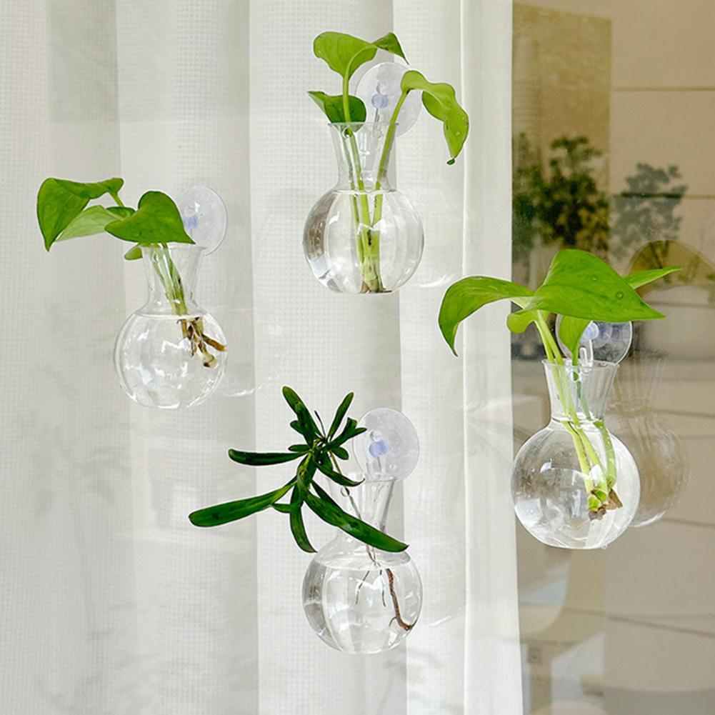 หลอดเพาะพันธุ์พืชแบบมีถ้วยดูด  - Propagation Station Vase บทวิจารณ์และราคา
