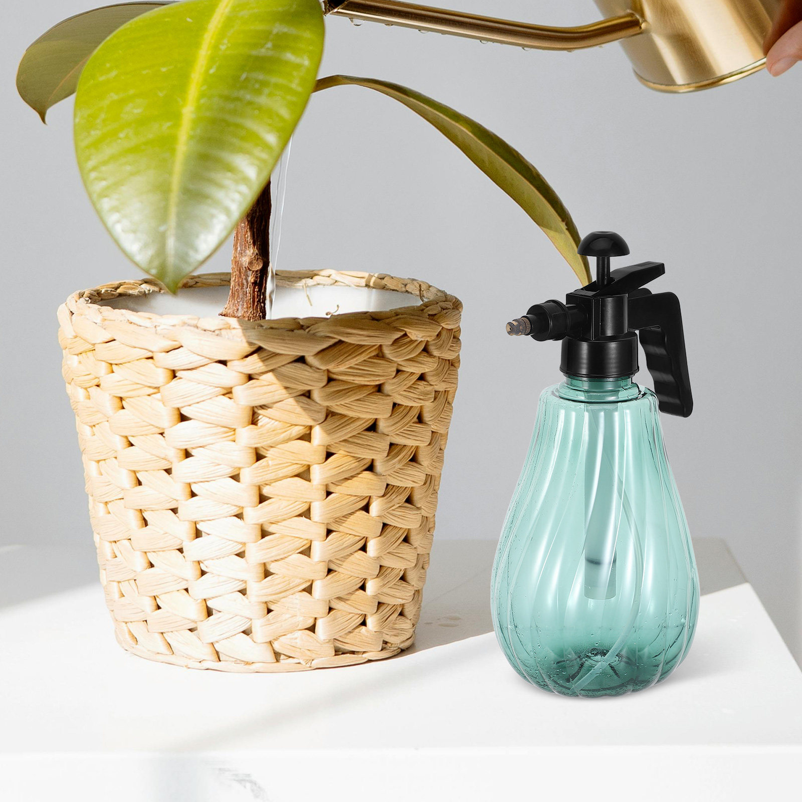 ขวดสเปรย์พลาสติกสีเขียวแบบถือม - Misting Bottle Fine บทวิจารณ์และราคา