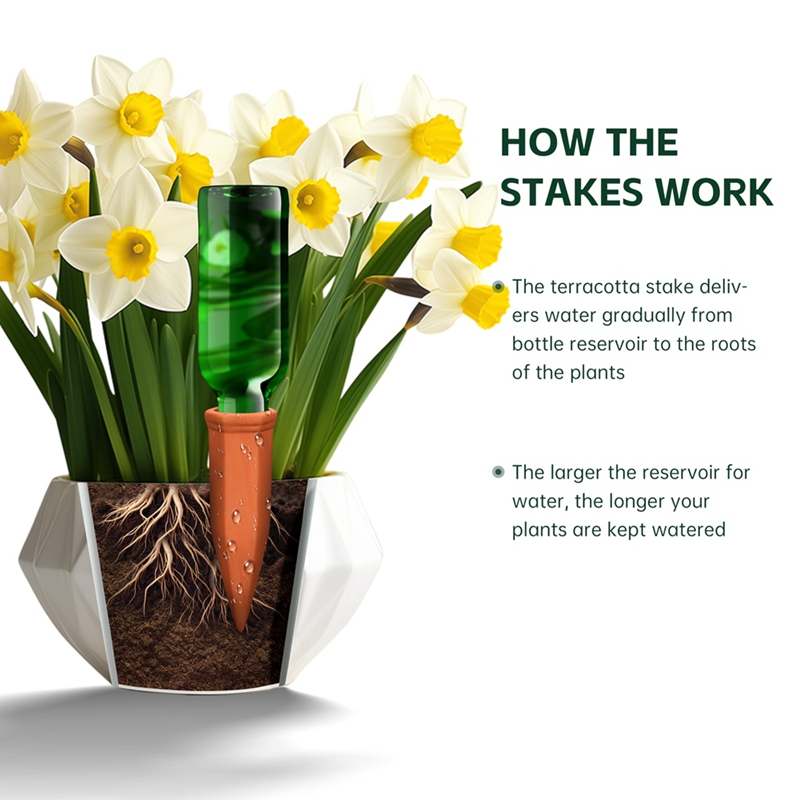 หัวฉีดน้ำดินเผา, แท่งรดน้ำรูปข - Self Watering Insert บทวิจารณ์และราคา