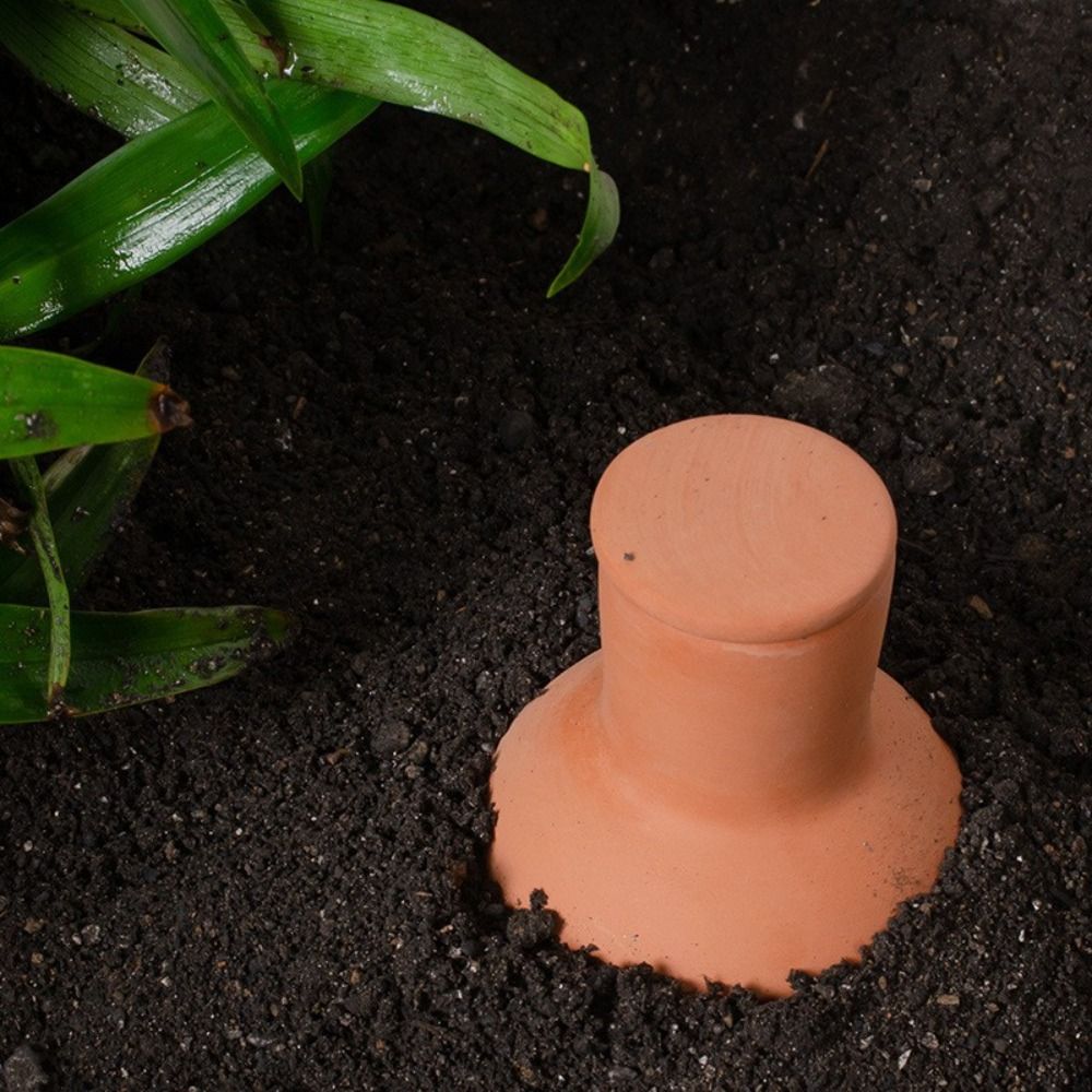 4 ชิ้น วัสดุทำจากดินเผา หัวจ่า - Self Watering Insert บทวิจารณ์และราคา